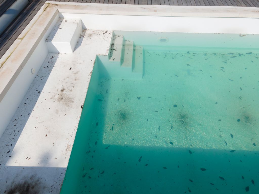 Pourquoi mon eau de piscine devient-elle laiteuse après un traitement