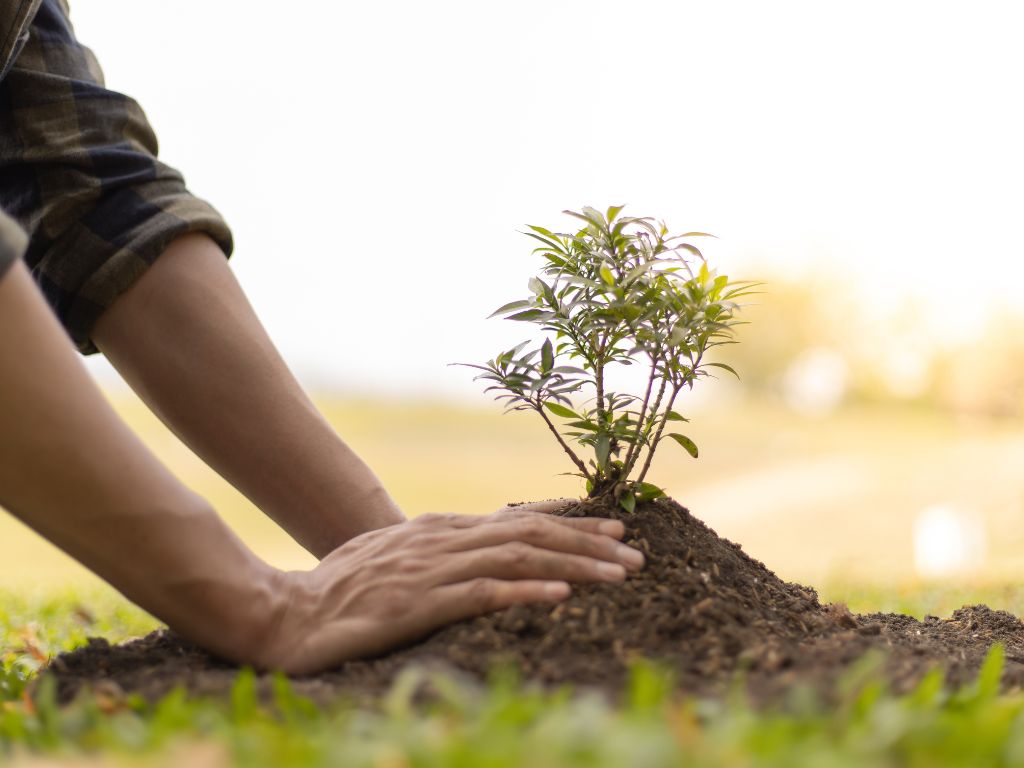 Achat de terre végétale : pourquoi la densité est importante