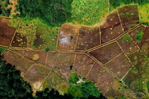 bornage terrain 30 ans