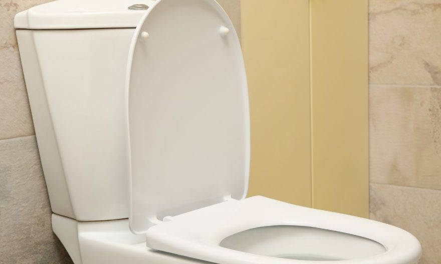 eau remonte dans vos toilettes bouchées