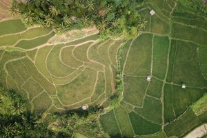 faire bornage terrain soi même